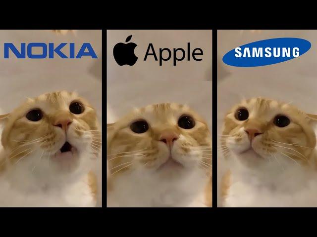 Moo Cat but famous phone ringtones