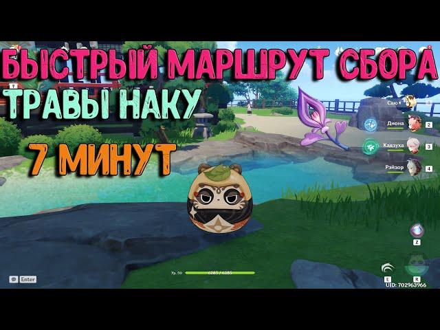 Трава Наку маршрут | 7 минут | Genshin Impact