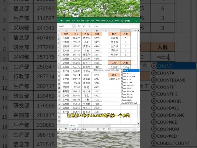 Countif统计函数也太牛了！#每天学习一点点 #办公技巧 #excel #职场 #函数