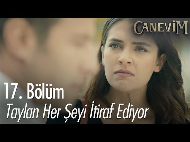 Taylan her şeyi itiraf ediyor - Canevim 17. Bölüm | Final