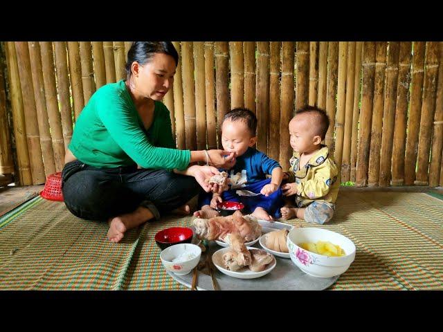 Single mother: harvesting papaya to sell - cooking with children | Happy everyday
