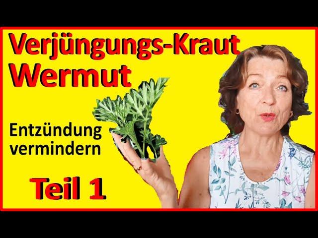 Wermut - Magen-Darm-Freund, Durchblutungsförderer, Stimmungsaufheller Energiebooster Teil 1