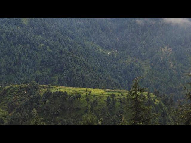 Siran Valley : Mundi Travel Secret #youtubeshorts  #shorts