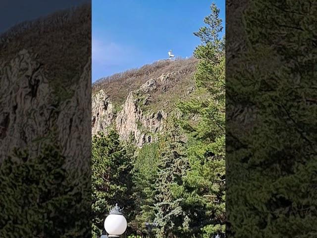 СИМВОЛ ГОРОДА ДЖЕРМУКА