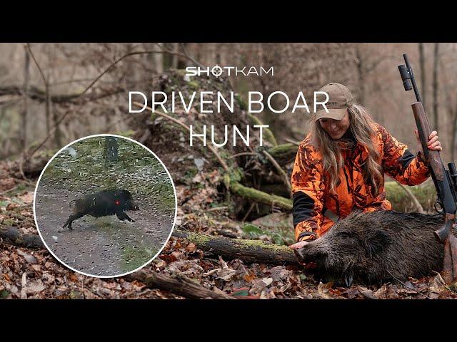 Driven Wild Boar in Europe | ShotKam Gen 3