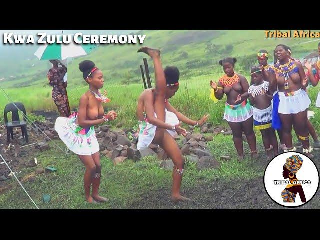 Kwa Zulu Tribe Ceremony Traditional Zulu African Dance