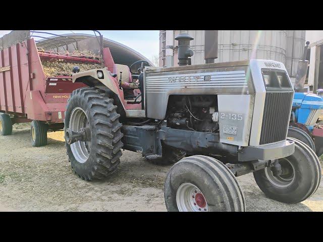 White 2-135 Hauling Silage