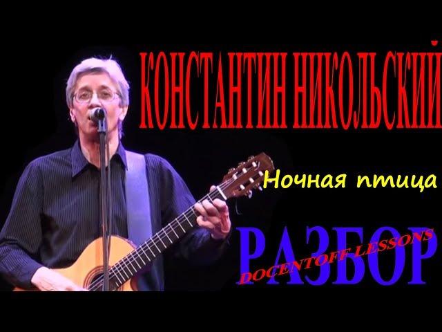 Константин Никольский Ночная птица разбор / на гитаре / бой / аккорды