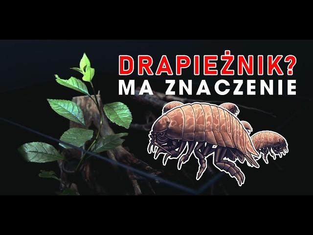 NATURALNY DRAPIEŻNIK W ZBIORNIKU JEST KLUCZOWY - ZBIORNIK IZOPODÓW