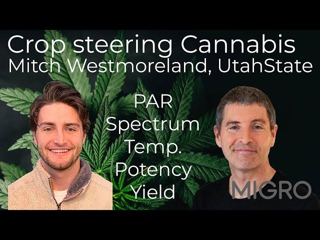 Crop Steering with Mitch Westmoreland of Utah State University