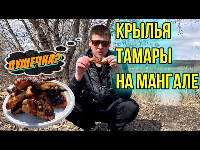 КРЫЛЬЯ ТАМАРЫ НА МАНГАЛЕ