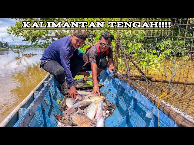 8 Hari berburu ikan predator angkat 31 prangkap raksasa dikatingan Kalimantan Tengah!! #KOOKIKO