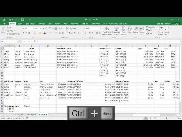 Microsoft Excel 2016: Using Flash Fill