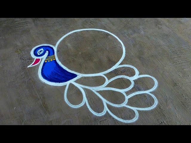 Diwali rangoli designs 2024peacock rangoli design latestSimple Diwali muggulu Super Color Rangoli