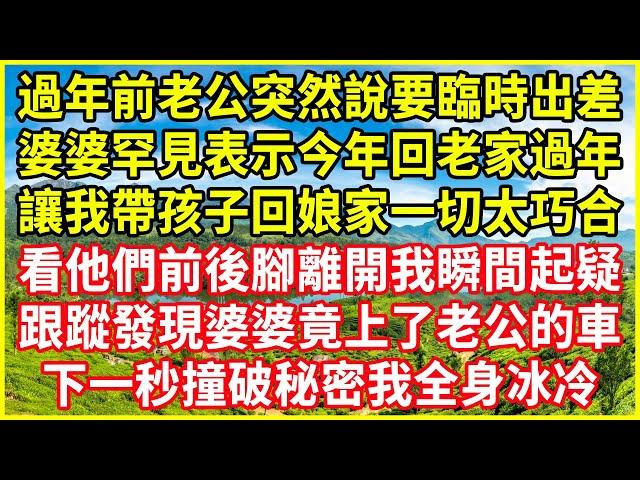 過年前老公突然說要臨時出差，婆婆罕見表示今年回老家過年，讓我帶孩子回娘家一切太巧合，看他們前後腳離開我瞬間起疑，跟蹤發現婆婆竟上了老公的車，下一秒撞破秘密我全身冰冷！#情感故事 #深夜淺談 #人生哲學