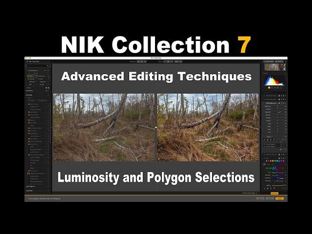 NIK COLLECTION 7 (Advanced Techniques-Luminosity and Polygon Selections)