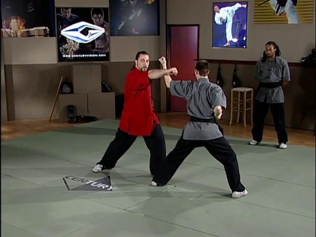 Wushu - Chang Quan