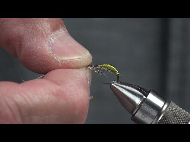 How-to tie the Graphic Caddis