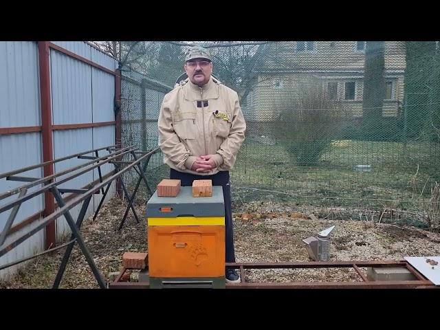  Совсем короткий, но важный совет на апрель 2025. Видео по пчеловодству для начинающих 