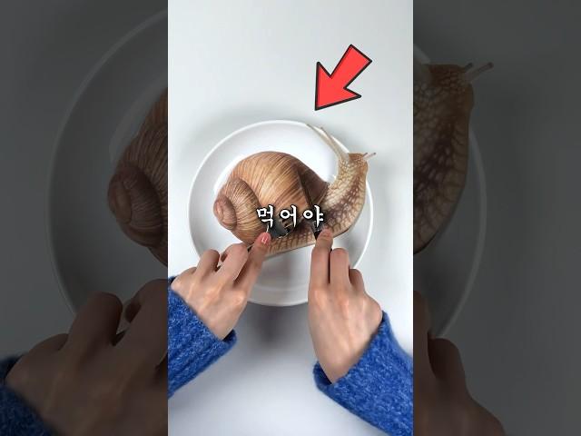 이거 제발 먹지 마세요 (매년 사망자 발생)
