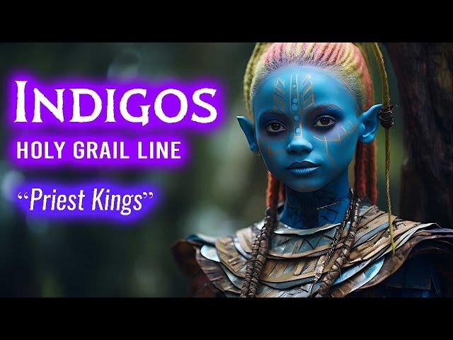 Indigo Children: PRIEST KINGS of the “Holy Grail”