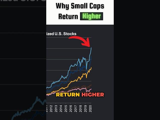 Why Small Caps Return Higher | #investing #stocks #smallcapstocks