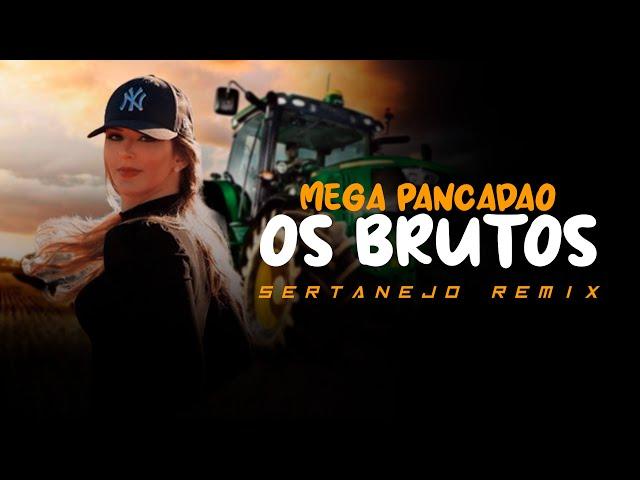 MEGA PANCADÃO SERTANEJO | Os Brutos e as Brutas do SERTANEJO REMIX | Remix 2022 #002