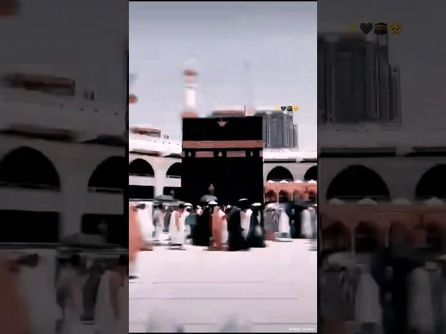 'Hasbi Rabbi Jallah Mafi Qalbi GhayrUllah'_____|yt islamic shortvideo Naat|status// Areeba Islamic.