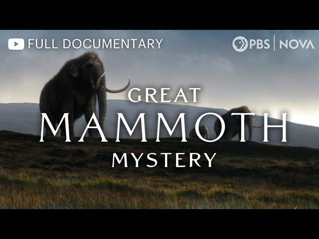 Great Mammoth Mystery | Full Documentary | NOVA | PBS