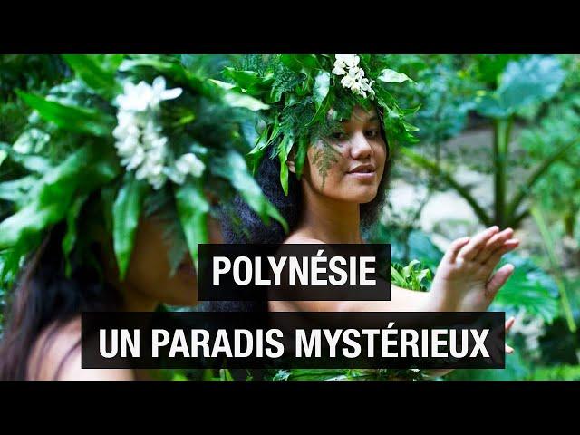 Polynesia, from island to island - A paradise on earth - Travel documentary - AMP