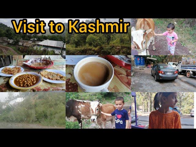 My visit to kashmir vlog️enjoyed a lot