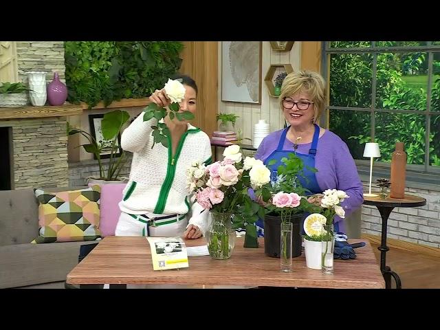 Girl Next Door 1-Piece Scentables Rose Live Plants on QVC