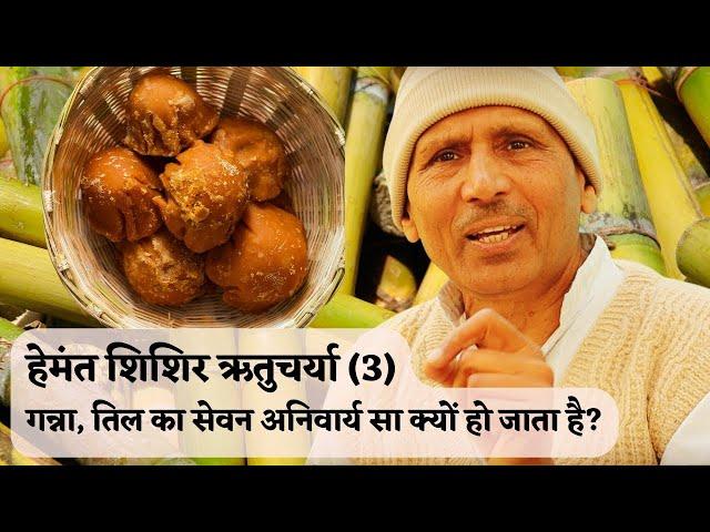 Ayurveda Principles of Eating Winter _ Hemant – Shishir Ritu Charya ( 3 ) Acharya Basant, Karnal