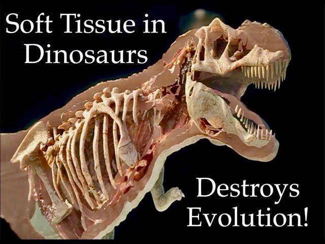 Soft Tissue in Dinosaurs Destroys Evolution! | The Ark and the Darkness | Biblicaltours