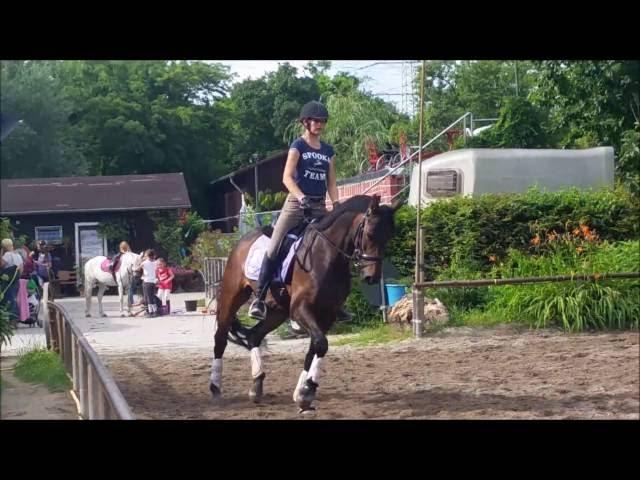 Stangenarbeit mit SAPHIR am 08.07.2016