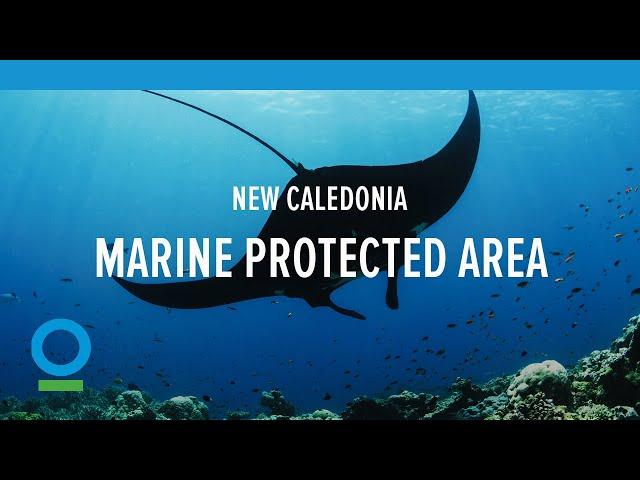 New Caledonia's Natural Park of the Coral Sea | Conservation International (CI)