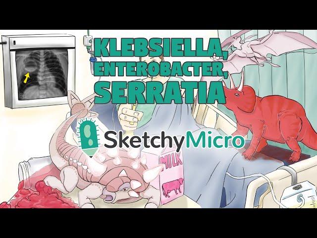 Klebsiella, Enterobacter, Serratia - SketchyMicro / Sketchy Medical (USMLE Step 1)