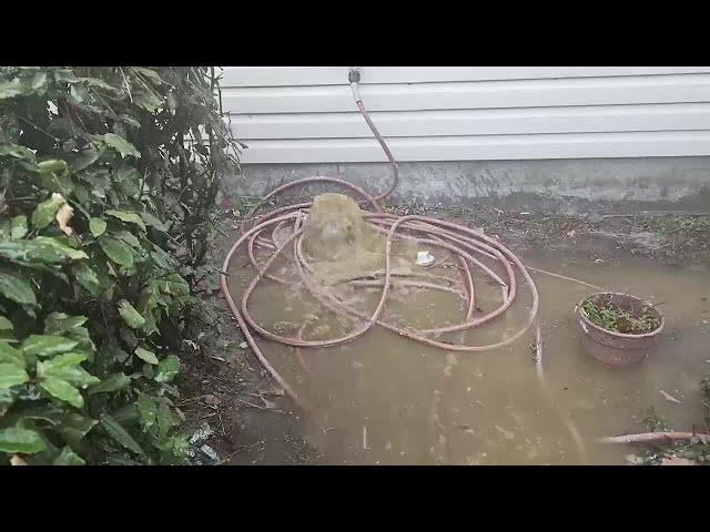 Reocurring flooding damages homes in Longleaf neighborhood