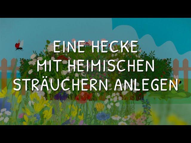 Eine Hecke aus heimischen Sträuchern anlegen