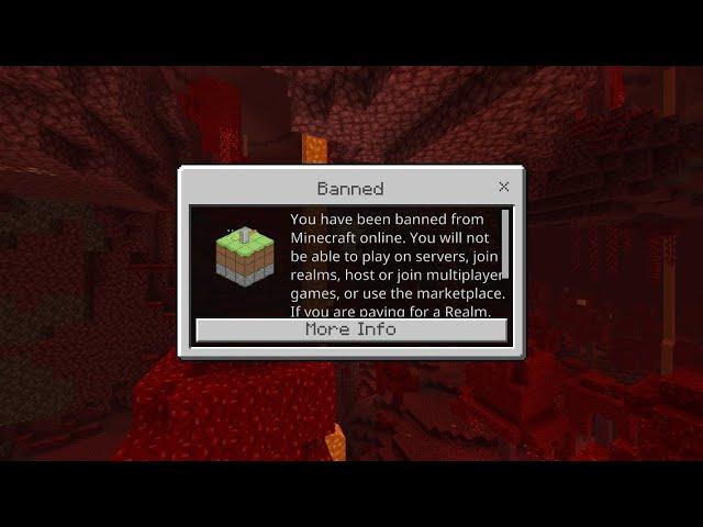 Minecraft has gone too far (I've been permanently banned)