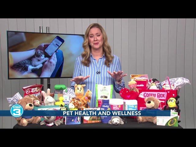 Pet health and wellness tips