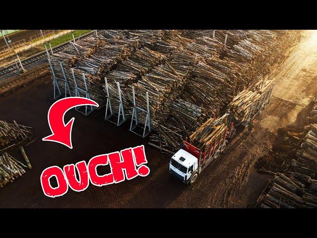 Inside The World's Most Advanced Wood Processing Facility - What's in Store?