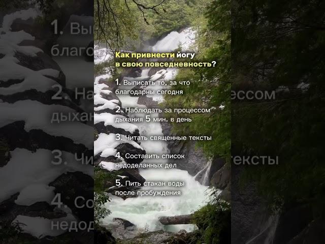 Больше о йоге @yogaalbina #йогадляначинающих #йогакаждыйдень
