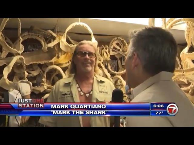 Mark the Shark saves seagull Channel 7 News @TheRealMarkTheShark ​#News @peta #shark #peta