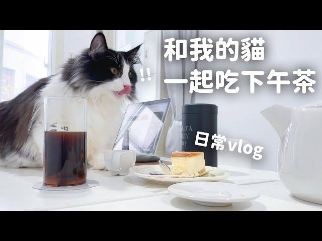 和我的貓一起吃下午茶  和那堤的日常 EP33