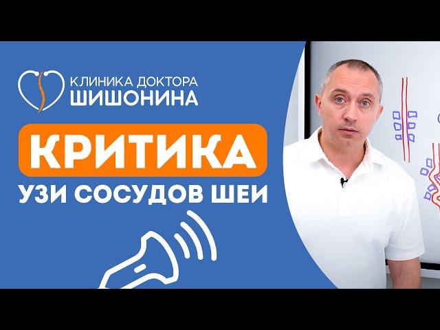 Критика УЗИ сосудов шеи. Доктор Шишонин наносит ответный удар 