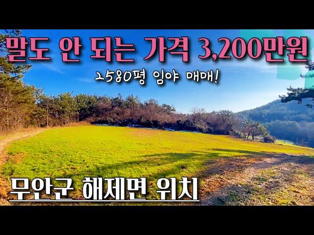 [전남임야매매] 매물번호#300 2,580평 임야 매매 ! 무안군 해제면 만풍리 임야 시골땅 촌땅 토지 매매