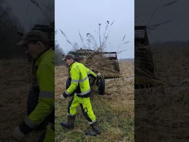 Больше сено не покупаю - Кошу зимой  #т40