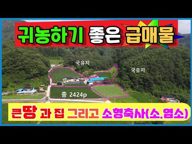 귀농을 준비하신다면 이영상 꼭 보세요 !! 큰면적의 토지와주택 소형축사까지 소를키울까요? 염소를키울까요? 사과과수원도 좋겠네요