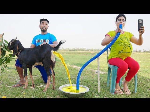Must Watch New Special Comedy Video 2023 Totally Amazing Comedy  Episode 218#busyfunltd
